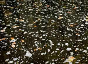 Keene Creek, Duluth 9/27/21