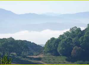 (1 in a multiple picture set)
I was hiking through the apple orchards in Oak Glen, CA, taking pictures of the blooming trees when I looked down into the valley and saw this scene.  It was early morning and the mists had not burned off yet.  Pretty