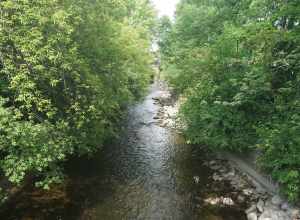 The Fox River in Waukesha, Wisconsin (United States).