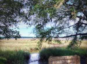 Located along historic Bay Street in downtown Beaufort, South Carolina.