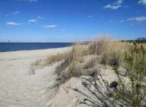 Cape Henlopen State Park