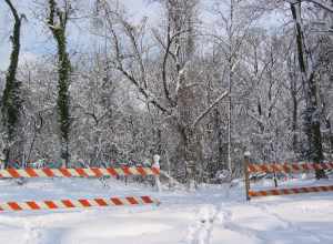 DC, Glover-Archbold Park, February 12, 2006.  (Likely the west-side trail entrance at W Street NW.)