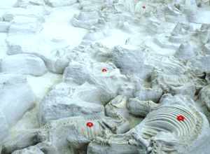 Ashfall Fossil Beds State Historical Park, Nebraska