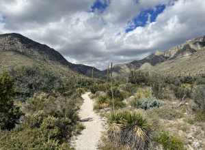 Start of the hiking trail that leads to Guadalupe Peak in the Guadalupe Mountains of Texas.