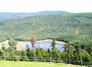 View from Mountain Lodge