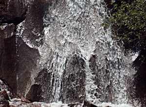 Taken at garden of the gods.