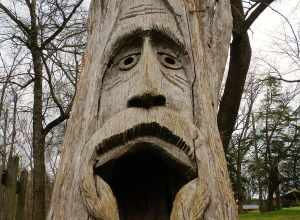 This is a photograph of a wood carving in Orr Park in Montevallo.