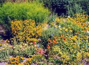 20000826 08 Denver Botanic Garden