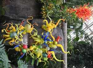 Niijima Floats and Anemones with the Sunset Chandelier in the background in the Pacific Island water garden -- Two of nineteen pieces of glass artwork made by Dale Chihuly on display inside the Franklin Park Conservatory, Columbus, Ohio.  Taken March