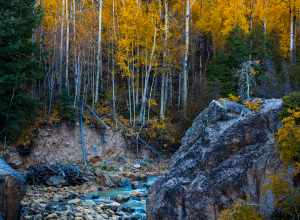 Aspen, United States