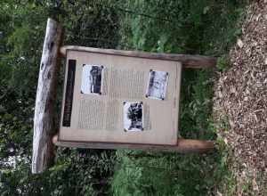 By ovedc - Talkeetna