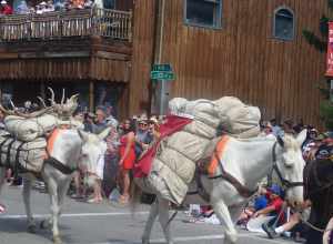 July 4th Parade Ennis, Montana 2014