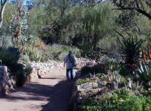 2014, On the Aloe and Succulents Trail
