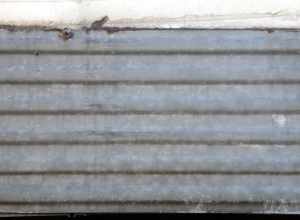 Delivery Van Sidewall (Washington, DC)