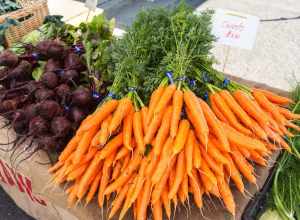 
500px provided description: Wonderful, fresh produce at the Farmers Market! [#Washington ,#Puyallup ,#Beets ,#Vegetables ,#Farmers Market ,#Carrots]