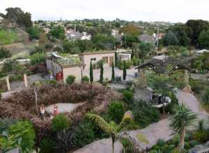 View of the San Diego Botanic Garden (formerly Quail Botanical Gardens) in Encinitas, California.

Object location33° 03′ 17.08″ N, 117° 16′ 46.83″ W View this and other nearby images on: OpenStreetMap 33.054744; -117.279675
