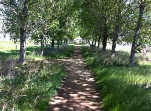 Baylands Park
