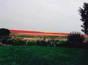 Carlsbad,California.USA.