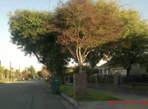 Arcadia, CA, USA