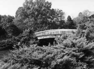 Black and white bridge