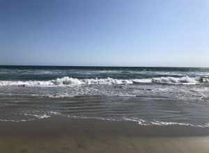 Huntington State Beach
