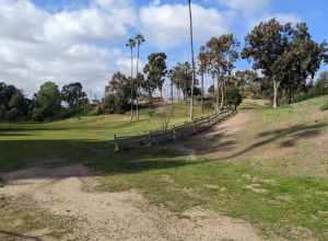 MacArthur Park